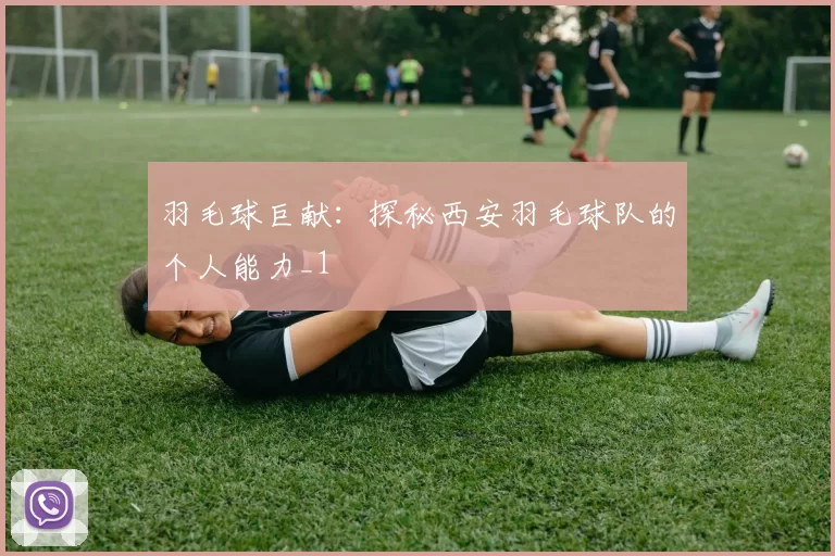 羽毛球巨献：探秘西安羽毛球队的个人能力_1