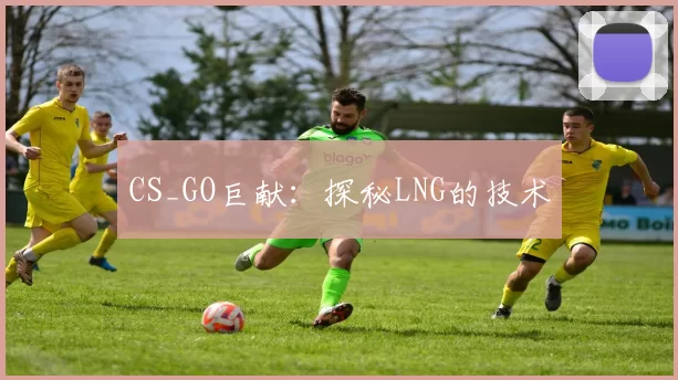 CS_GO巨献：探秘LNG的技术