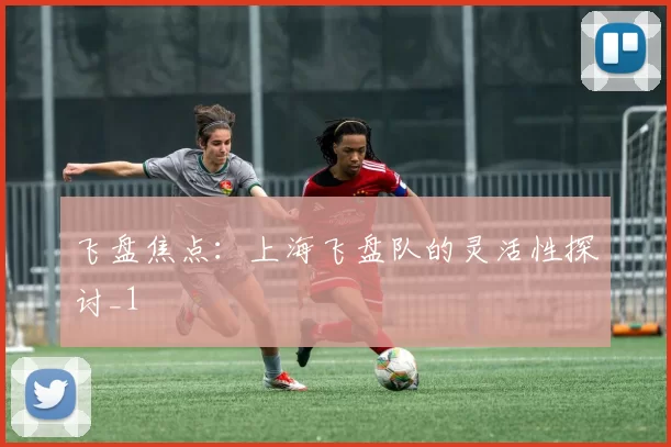 飞盘焦点：上海飞盘队的灵活性探讨_1