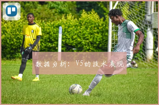 数据分析：V5的技术表现