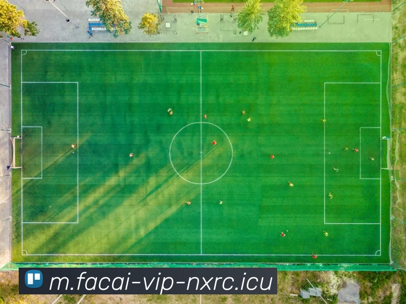 多媒体互动体验